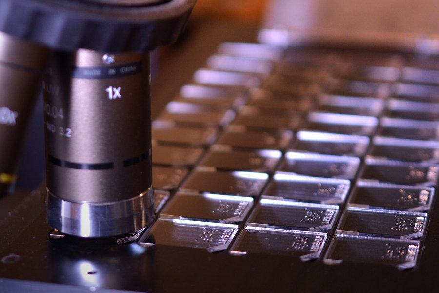 tests intercomparatifs